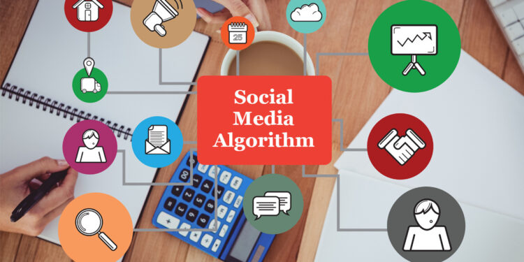 Navigating the Latest Social Media Algorithm Updates